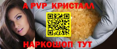 стаф Кимры