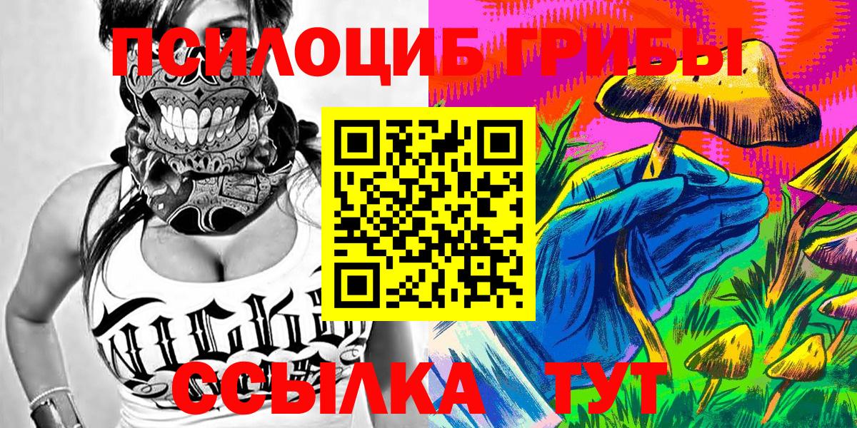 Галлюциногенные грибы GOLDEN TEACHER  Спасск-Дальний  Псилоцибиновые грибы MAGIC MUSHROOMS 