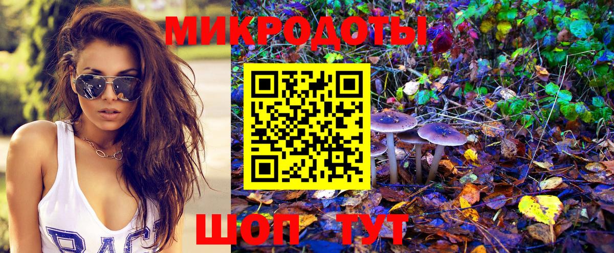 Спасск-Дальний  как найти   Вход с VPN  Галлюциногенные грибы GOLDEN TEACHER 